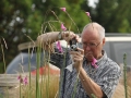 1st_-_flowers_blowing_in_the_breeze