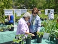 Garden Club Flower Show 2012 058