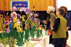 2017-06-03-Flower-Show-judging