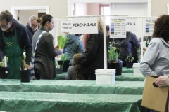 2018-04-21-Plant-Sale-17-some-tables-cleared