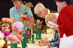 2018-05-26-Flower-Show-3.-Judging