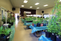 2019-04-27-Plant-Sale-1.-Ready-to-start-sale