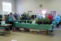 2019-04-27-Plant-Sale-7.-45mins.-later-sale-is-almost-over