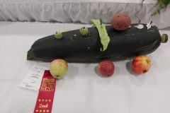 20210918-Junior-zucchini-vehicle-2nd-scaled