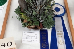 2022-05-28-Flower-Show-10-Class-40-Succulent-collection