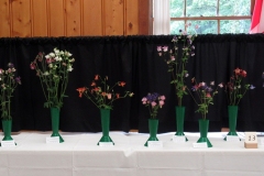 2022-05-28-Flower-Show-2-Colourful-columbines