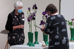 2022-05-28-Flower-Show-4-Judging-irises