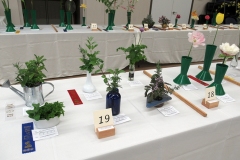 2022-05-28-Flower-Show-9-Class-19-more