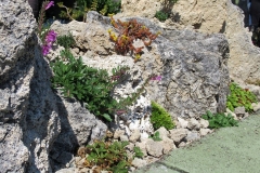 2023-06-21-Bus-Tour-Donna-Humphries-8-amazing-rock-garden