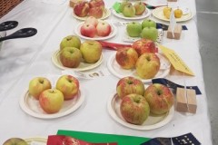 2023-09-15-CowEx-Karen-Wade-4-apples-crop