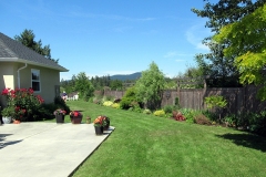 2023-06-27-Open-Garden-Barb-Tymchuk-1-Into-the-back-yard