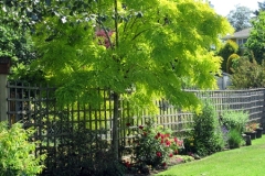 2023-06-27-Open-Garden-Barb-Tymchuk-2-along-the-fence-line