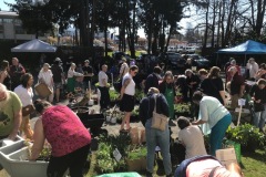 2023-04-29-Plant-Sale-shoppers-3