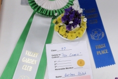 2023-05-27-Flower-Show-Rosette-for-Darlene-Veitchs-Miniature-Crown