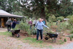 Willie-Harvie-2023-10-13-rose-pruning-workshop-filling-wheel-barrows