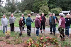 Willie-Harvie-2023-10-13-rose-pruning-workshop-touring-the-garden