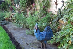 2024-06-20-Bus-Tour-Joanne-King-8-blue-rooster