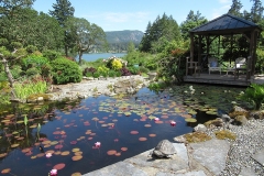 Willie-Harvie-OG-2024-06-09-Sylvia-Scott-2-looking-towards-lake