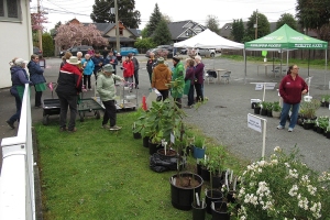 2024 Spring Plant Sale