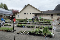 Greg-Cossey-2024-04-27-Plant-Sale-3-lots-of-plants