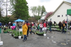 Willie-Harvie-2024-04-27-Plant-Sale-8-shopping