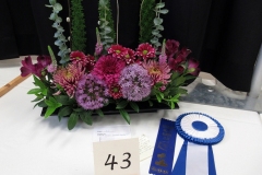 Willie-Harvie-2024-05-25-Flower-Show-B-Winner-1-Best-Decorative