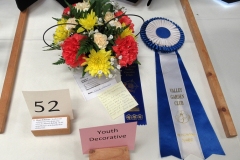 Willie-Harvie-2024-05-25-Flower-Show-B-Winner-2-Best-Youth-exhibit