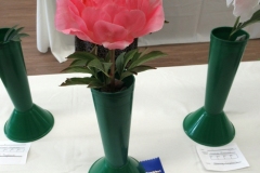 Willie-Harvie-2024-05-25-Flower-Show-B-Winner-4-Peony