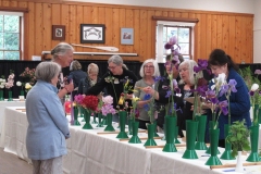 Willie-Harvie-2024-05-25-Flower-Show-People-1-Judges-helpers