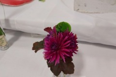 2020-09-06-UN-Fair-flowers-fresh-dahlias-purple