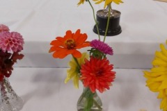 2020-09-06-UN-Fair-flowers-with-orange-zinnia